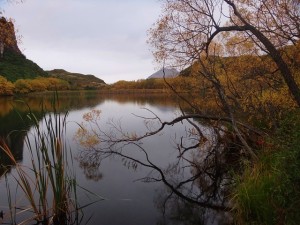 Wanaka 5 R