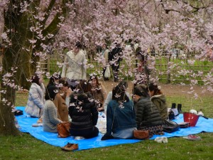 1. Kyoto - Cherry Blossom 2-37