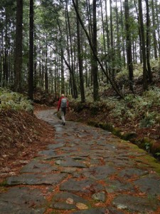 5.Nakasendo 2-28